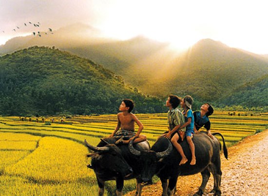 Bộ sưu tập những hình ảnh đẹp và dễ thương nhất về tình bạn 0