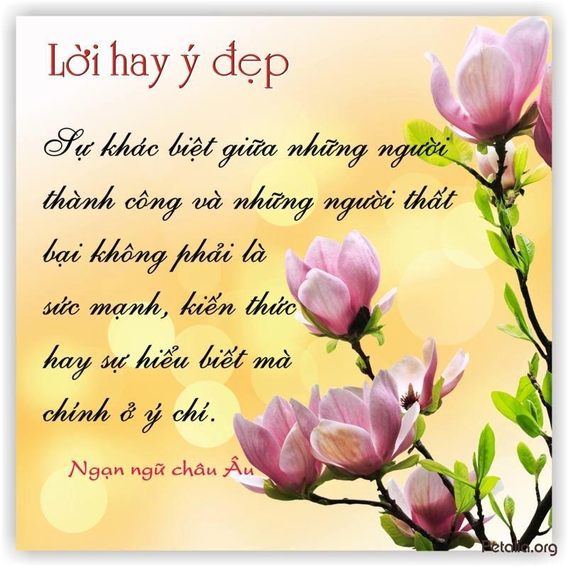 Những hình ảnh đẹp với những câu nói hay về tình bạn 6