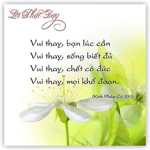 Những hình ảnh đẹp với những câu nói hay về tình bạn 15