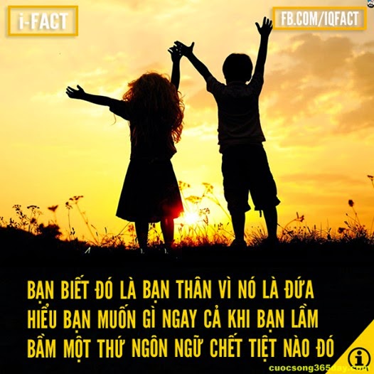 Những câu danh ngôn về tình bạn ý nghĩa và đáng quý 0