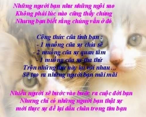 Những câu nói bất hủ về tình bạn đểu mà chất nhất để đăng sst thâm thúy 6