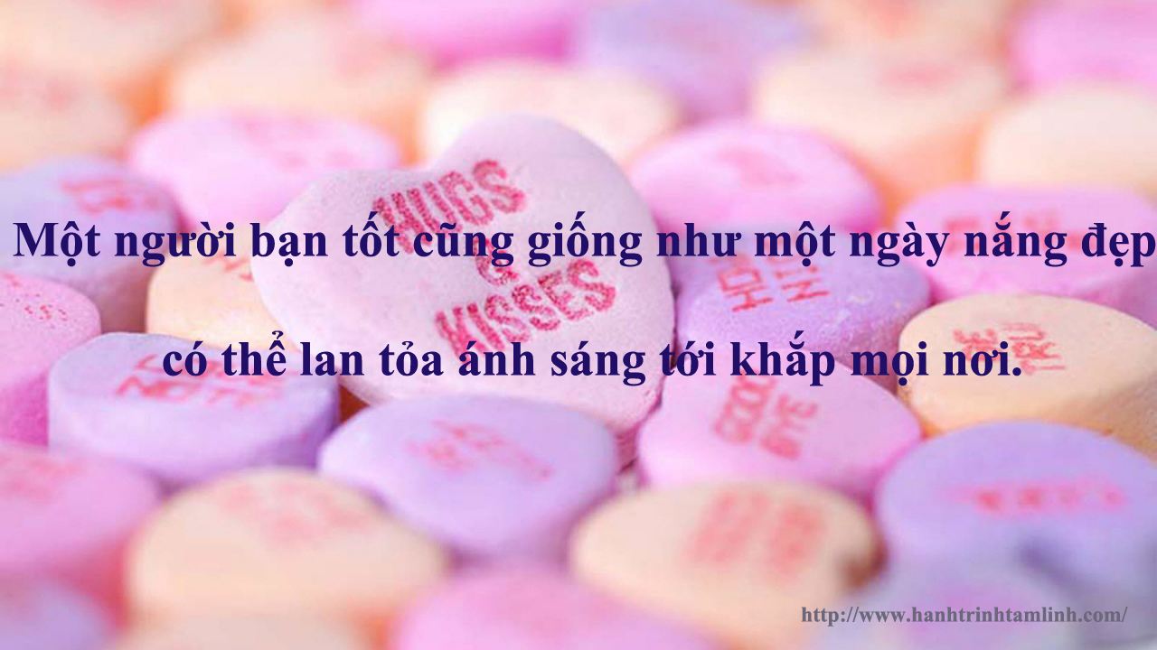 Những câu nói hay của người nổi tiếng về tình bạn 2