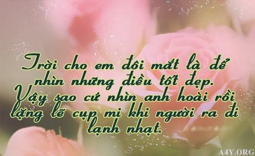 Những câu nói bất hủ hay an ủi người thất tình cảm động nhất 3