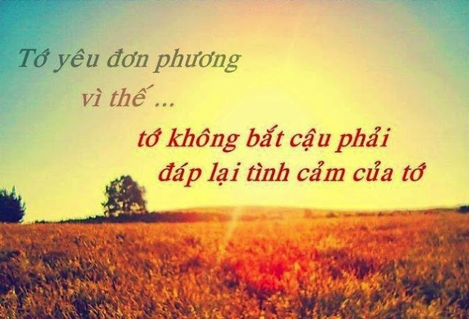 Những câu nói bất hủ hay an ủi người thất tình cảm động nhất 8