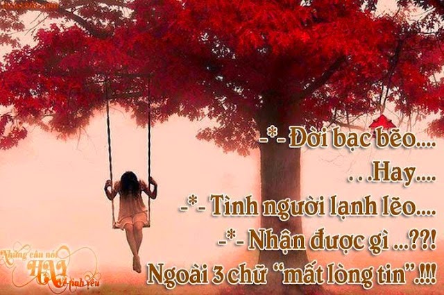 Những câu nói bất hủ hay an ủi người thất tình cảm động nhất 11
