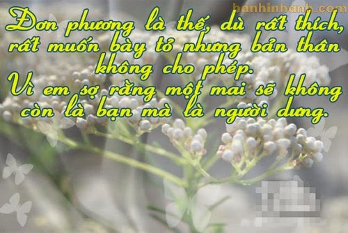 Những câu nói hay về tình yêu buồn và nỗi nhớ da diết một người cho những người yêu đơn phương độc lạ và rất hay 2
