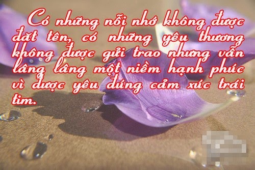 Những câu nói hay về tình yêu buồn và nỗi nhớ da diết một người cho những người yêu đơn phương độc lạ và rất hay 5