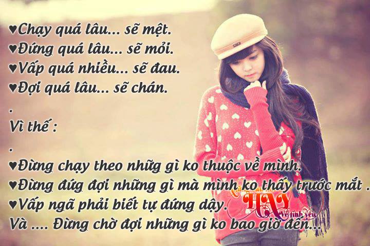 Những câu nói hay về tình yêu và cuộc sống tươi đẹp thường ngày quanh ta 9