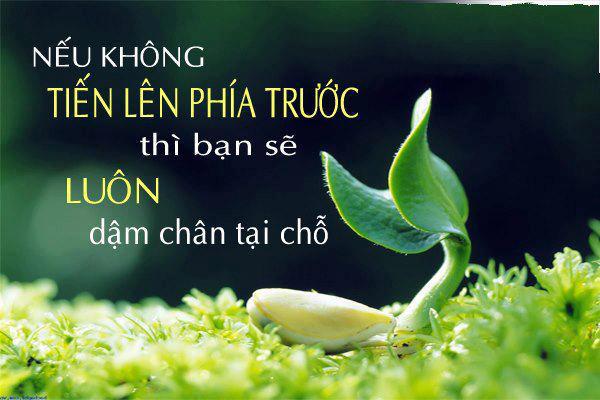 Những câu nói hay về tình yêu và cuộc sống tươi đẹp thường ngày quanh ta 16