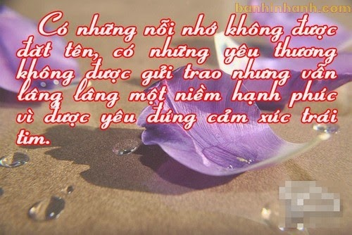 Những câu stt hay độc chất và buồn nhất về tình yêu tan nát cuộc đời 15