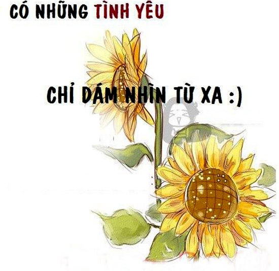 Những câu stt hay độc chất và buồn nhất về tình yêu tan nát cuộc đời 17