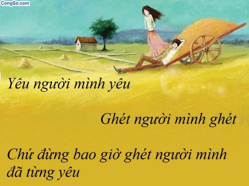 Những câu nói bất hủ hay về tình yêu ngọt ngào lãng mạng và ý nghĩa nhất bạn không nên bỏ qua 0