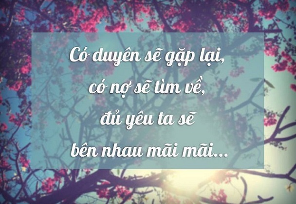 Những câu nói hay về tình yêu đẹp ngọt ngào lãng mạn và cảm giác hạnh phúc nhất sưởi ấm mọi con tim 4