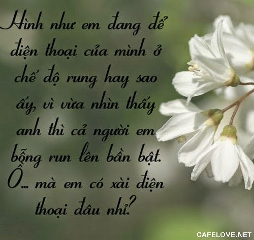 Những lời tỏ tình hay ngọt ngào lãng mạn và dễ thương nhất đốn tim phái đẹp bạn nên tham khảo 1