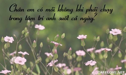 Những lời tỏ tình hay ngọt ngào lãng mạn và dễ thương nhất đốn tim phái đẹp bạn nên tham khảo 2
