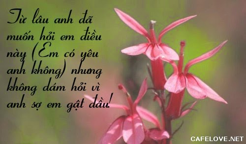 Những lời tỏ tình hay ngọt ngào lãng mạn và dễ thương nhất đốn tim phái đẹp bạn nên tham khảo 3
