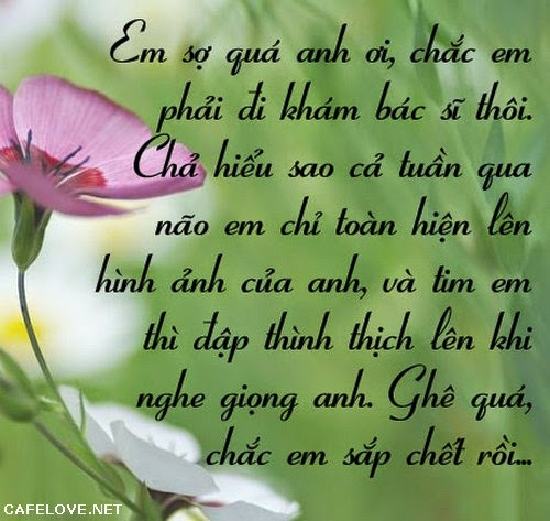 Những lời tỏ tình hay ngọt ngào lãng mạn và dễ thương nhất đốn tim phái đẹp bạn nên tham khảo 4