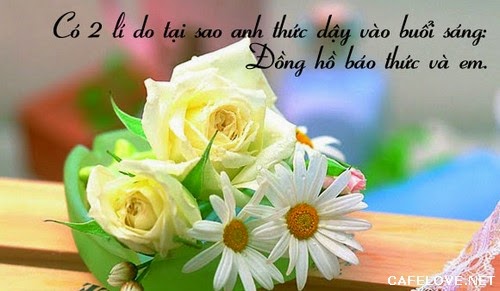 Những lời tỏ tình hay ngọt ngào lãng mạn và dễ thương nhất đốn tim phái đẹp bạn nên tham khảo 5