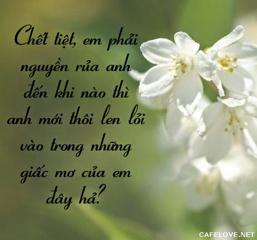 Những lời tỏ tình hay ngọt ngào lãng mạn và dễ thương nhất đốn tim phái đẹp bạn nên tham khảo 6