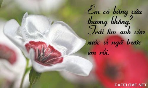 Những lời tỏ tình hay ngọt ngào lãng mạn và dễ thương nhất đốn tim phái đẹp bạn nên tham khảo 8