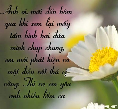 Những lời tỏ tình hay ngọt ngào lãng mạn và dễ thương nhất đốn tim phái đẹp bạn nên tham khảo 11