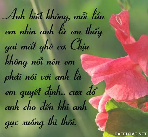 Những lời tỏ tình hay ngọt ngào lãng mạn và dễ thương nhất đốn tim phái đẹp bạn nên tham khảo 14