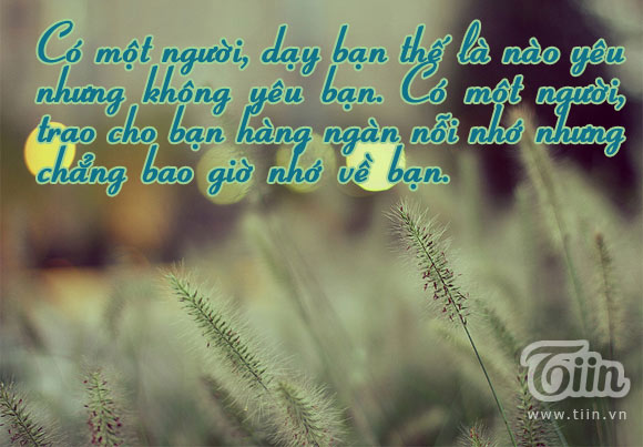 Những câu nói hay bất hủ cực ý nghĩa sâu sắc nhất về tình yêu chuẩn không cần chỉnh bằng hình ảnh 18