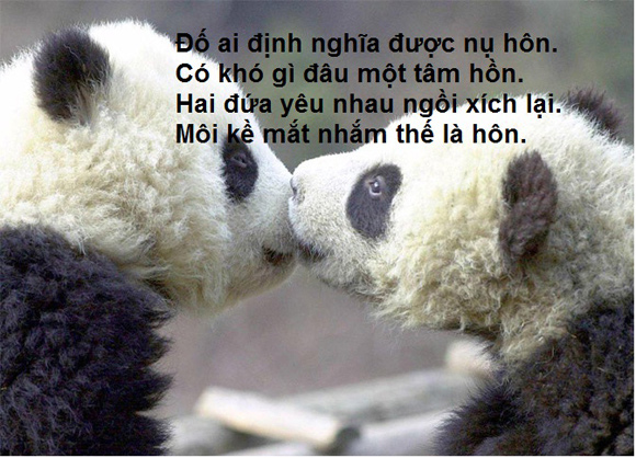 Những câu nói chế hay nhất cực khó đỡ về tình yêu bất hủ và hài hước nhất mọi thời đại 1