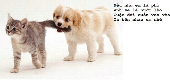 Những câu nói chế hay nhất cực khó đỡ về tình yêu bất hủ và hài hước nhất mọi thời đại 11