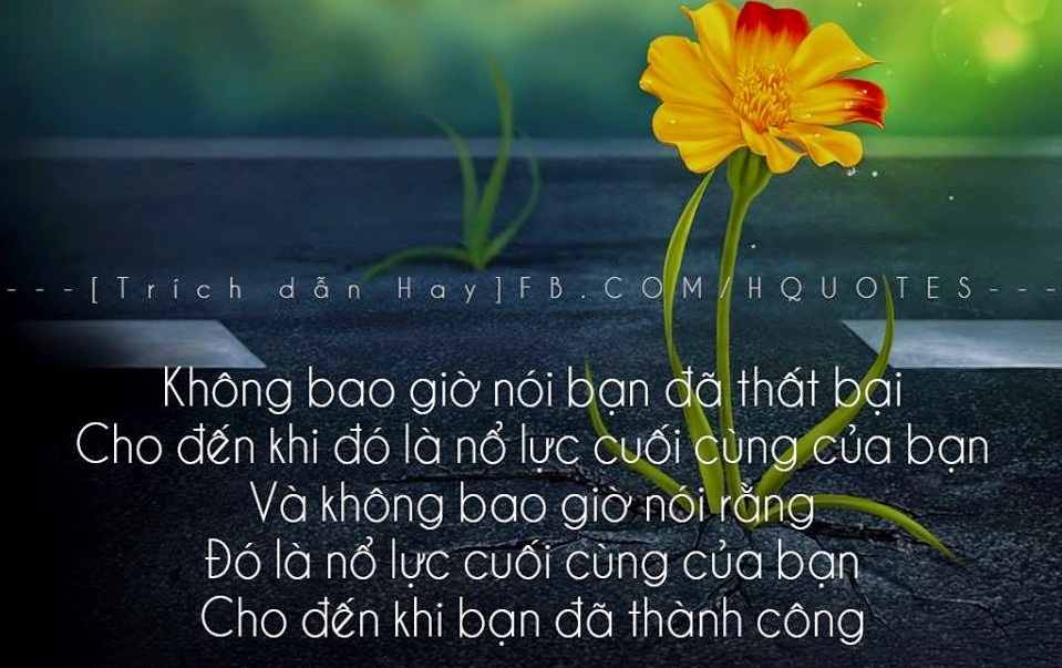 Những câu nói hay và ý nghĩa về tình yêu buồn tan vỡ giúp người đang thất tình vượt qua nỗi đau khi chia tay 14