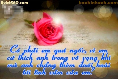 Những câu nói hay nhất về tình yêu đơn phương khờ dại buồn não nề 3