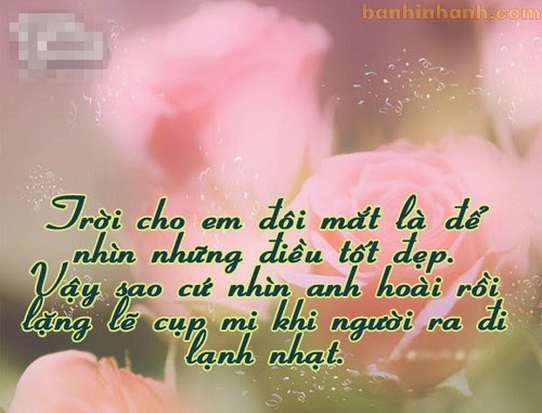 Những câu nói hay nhất về tình yêu đơn phương khờ dại buồn não nề 6