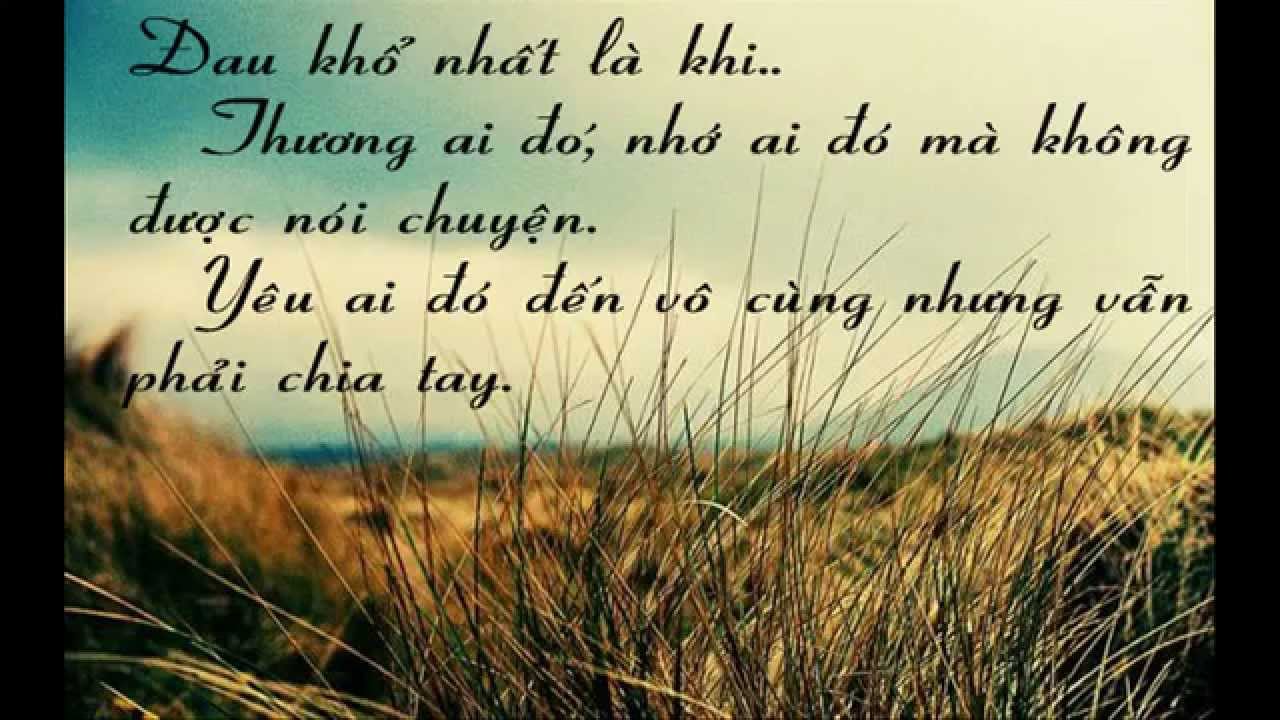 Những câu nói hay bất hủ về tình yêu đôi lứa lãng mạn ngọt ngào ý nghĩa nhất lay động hàng vạn trái tim 2