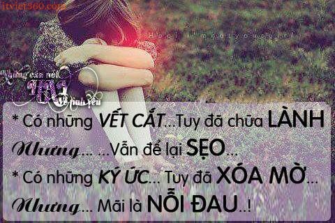 Những câu nói hay bất hủ về tình yêu đôi lứa lãng mạn ngọt ngào ý nghĩa nhất lay động hàng vạn trái tim 9