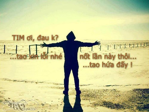 Những câu nói hay bất hủ về tình yêu đôi lứa lãng mạn ngọt ngào ý nghĩa nhất lay động hàng vạn trái tim 12