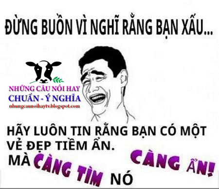 Những câu nói bất hủ hay nhức nhối về tình yêu và cuộc sống hài hước cười rụng rốn 3