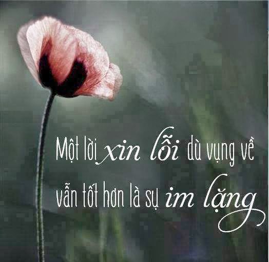 Những câu xin lỗi bằng tiếng anh trong tình yêu hay nhất 3