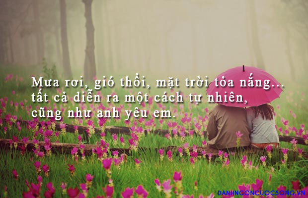 Tuyển tập những câu nói về tình yêu hay và ý nghĩa nhất trên facebook 2