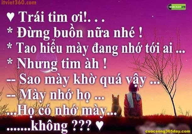 Những câu nói hay và ý nghĩa nhất về tình yêu xa khiến mọi con tim thổn thức 10