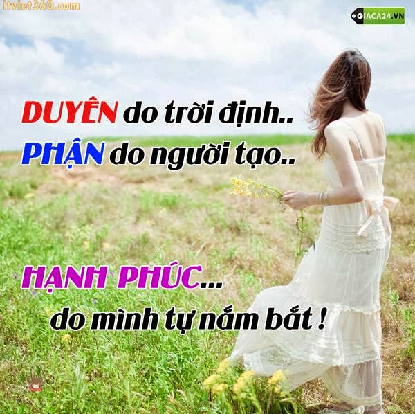 Những câu nói hay về tình yêu đẹp ngọt ngào và chân thành nhất 11