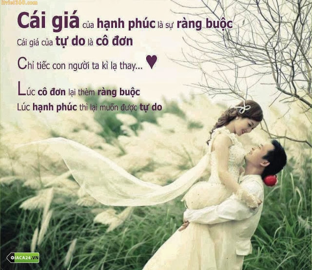 Những câu nói hay về tình yêu đẹp ngọt ngào và chân thành nhất 13