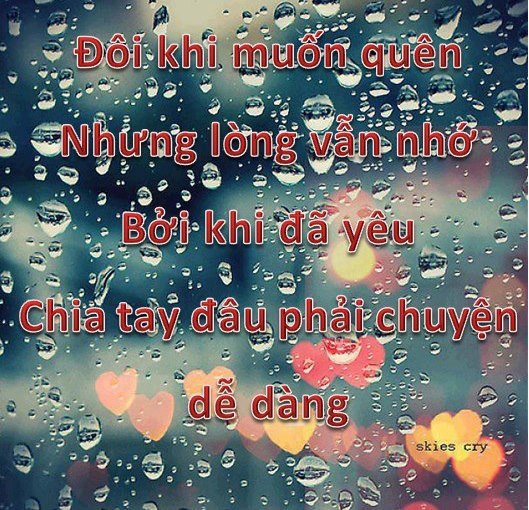 Những câu nói hay nhất về tình yêu chất chứa nỗi niềm riêng lắng đọng mọi tâm hồn người đọc 14