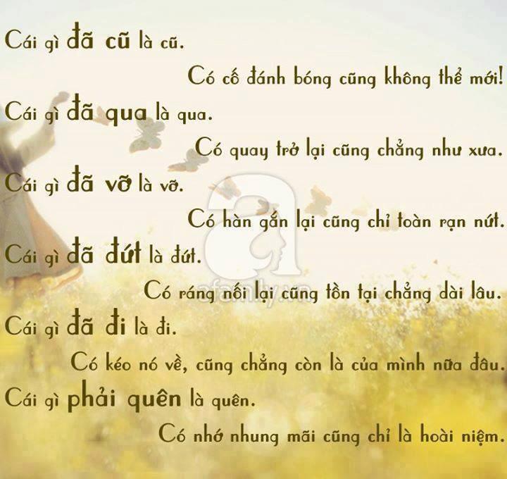 Những câu nói hay nhất về tình yêu chất chứa nỗi niềm riêng lắng đọng mọi tâm hồn người đọc 19