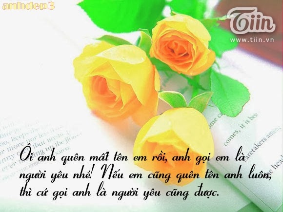 Những câu nói tỏ tình hay ngọt ngào và hấp dẫn nhất mọi thời đại 1