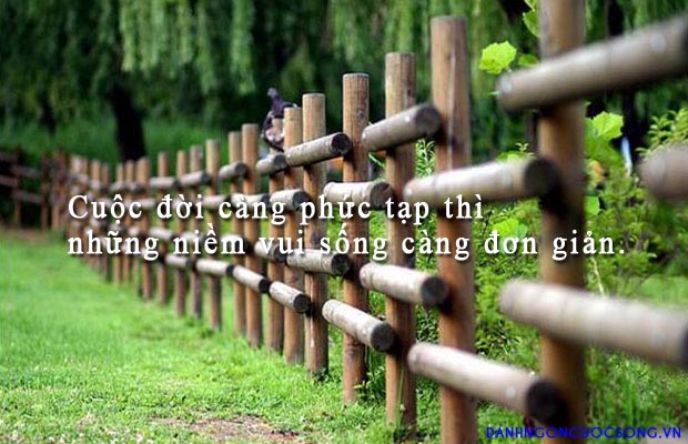 Những câu nói ý nghĩa – Danh ngôn hay nhất về hạnh phúc bằng tiếng anh 0