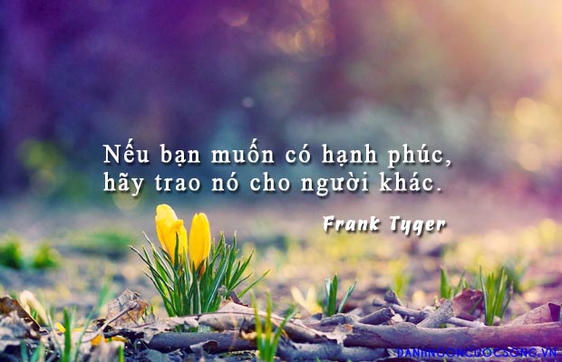 Những câu nói ý nghĩa – Danh ngôn hay nhất về hạnh phúc bằng tiếng anh 6