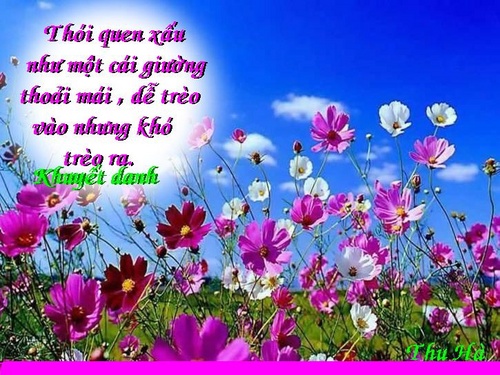 Những câu danh ngôn hay nhất về tình yêu và cuộc sống đáng trân trọng bằng hình ảnh 2