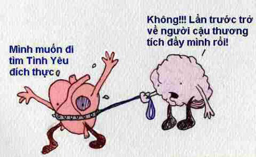 Những hình ảnh đẹp và hài hước nhất về tình yêu đôi lứa 2