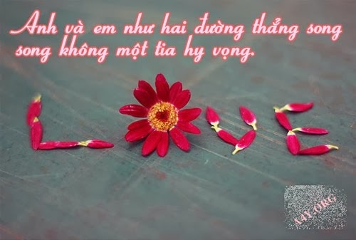 Những hình ảnh đẹp về tình yêu đơn phương đầy cảm xúc hợp với tâm trạng 16