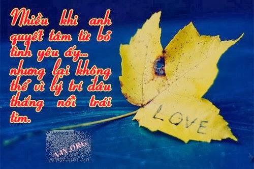 Những hình ảnh đẹp về tình yêu đơn phương đầy cảm xúc hợp với tâm trạng 18